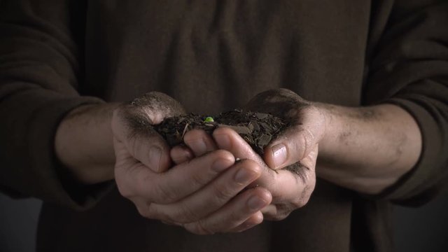 Nurturing hands hold soil as seed time lapse grows from the gardeners soil. 