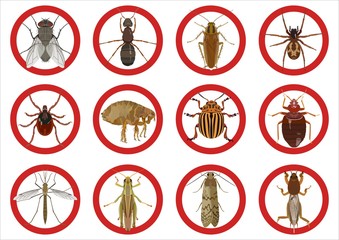 Collection of warning signs about harmful insects. Vector illustration