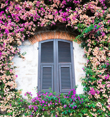 Fototapeta na wymiar View of a characteristic green window enclosed with plants around with flowers of various colors.