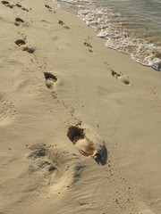 Footprints in the sand