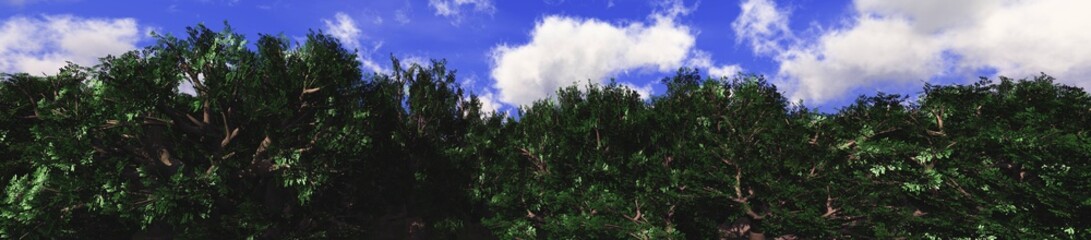 baobab grove. Panorama of trees against the sky with clouds.
3D rendering