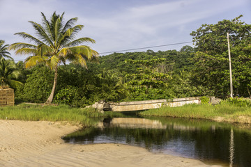 Fototapeta na wymiar dark colored river near the beach