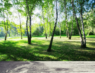 Park forest ecology background
