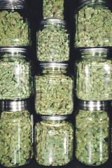 Cannabis Dispensary Supply of Marijuana Bud Jars