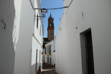 Spain - city, olive trees, landscape, castle, palm trees