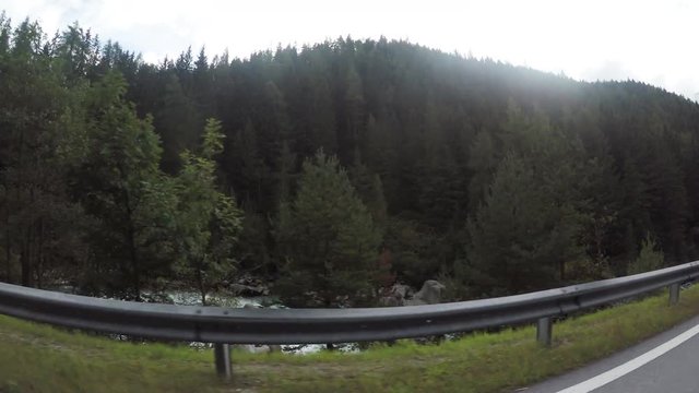 POV, scenic landscape view of trees from car window on highway