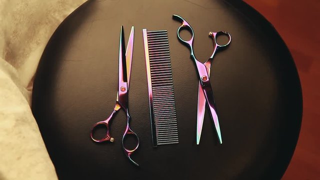hairstyle tools scissors studio