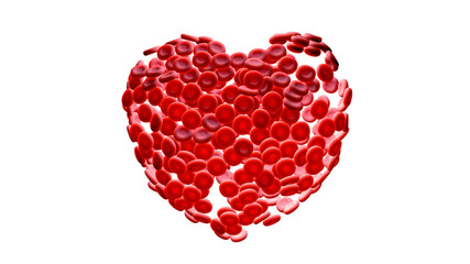Heart filled with red blood cell