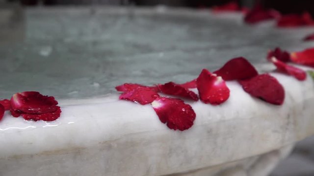 close up, rose petals in water fountain