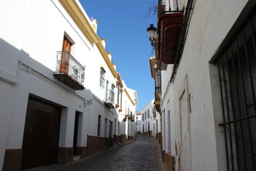 Spain - city, olive trees, landscape, castle, palm trees