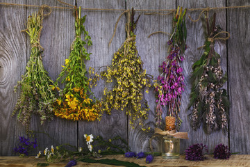 Medicinal herbs are also used to add to tea. Bundle of plants in the drying process