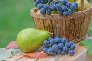 grape and plum on basket background close up