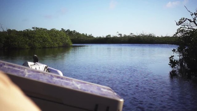 POV, traveling on boat through Everglades in slow motion