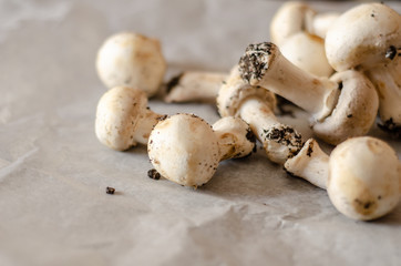 freshly harvested dirty mushrooms spread on paper, raw and healthy vegetables