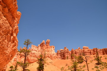 Desert landscape