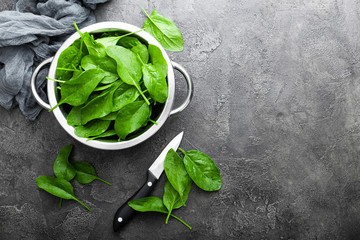 Spinach. Fresh spinach leaves - obrazy, fototapety, plakaty