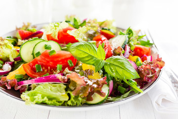 Fresh vegetarian vegetable salad with tomato, onion, cucumber, pepper, basil and lettuce. Salad on plate on white table