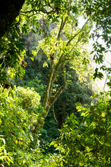 Obraz premium la maria