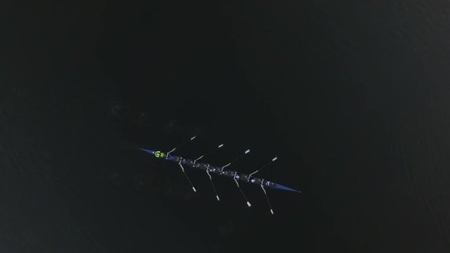 Overhead aerial, rowing on scenic lake