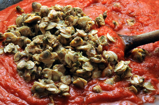 Clams sugo Vongole sauce