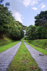 path in the park