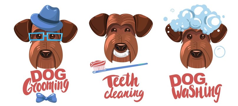 Dog Grooming Cartoon Images – Browse 25,118 Stock Photos, Vectors, and  Video | Adobe Stock
