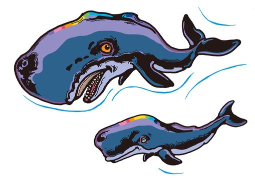 マッコウクジラ Images – Browse 260 Stock Photos, Vectors マッコウクジラ Images – Browse 260 Stock Photos, Vectors