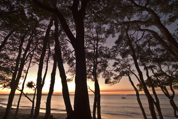 Australia Queensland Sunshine Coast