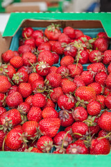 organic strawberry flat in outdoor famer's market