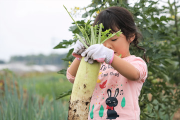 収穫を手伝う女の子
