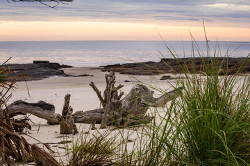 Driftwood sunrise in North Florida