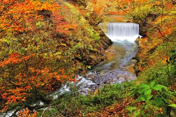 紅葉の鳴子郷