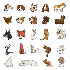 Fototapeta premium random animal collection 