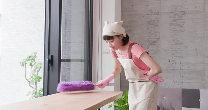 woman housewife clean house