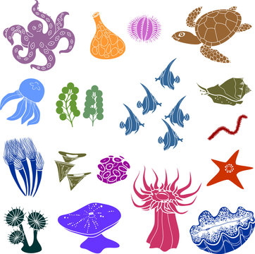 Set of colorful silhouettes of different marine animals