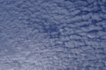 空と雲と鳥