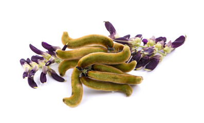 Mucuna pruriens isolated on white background