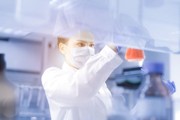 Female scientist looking at the sample in laboratory	