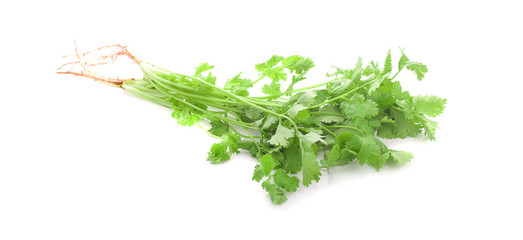 Green coriander leaves isolated on white background. This has clipping path.