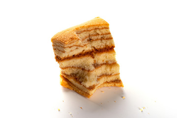 homemade sandwich shape sponge cage with a bites on white