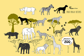 Background with savanna animals