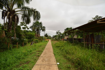 a path heading into a local Amazon village in Peru