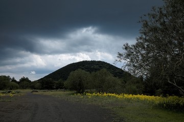Rain Cloud In Etna Park, Sicily