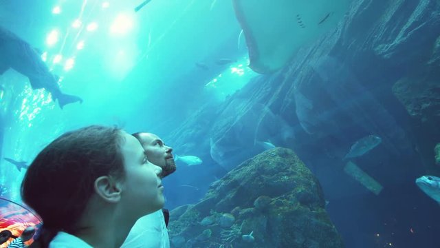 Teenage girl with Dad watching the fish in Aquarium stock footage video