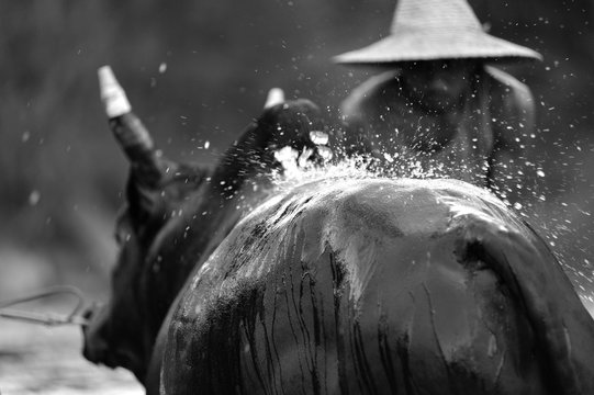 「Fffffffff」の写真素材 | 6件の無料イラスト画像 | Adobe Stock