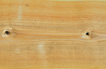 Fototapeta premium Texture of wood 5