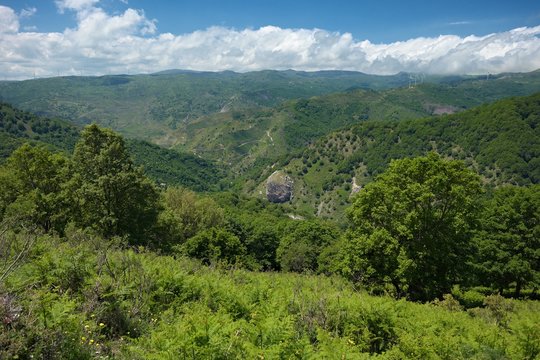 Licopeti Valley In Malabotta Nature Reserve, Sicily
