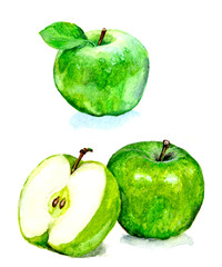 green apple. watercolor illustration