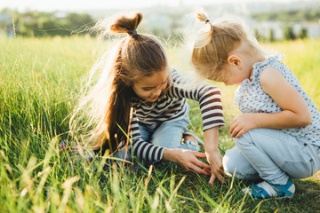 Little girls are looking at insects in the green grass on the field.