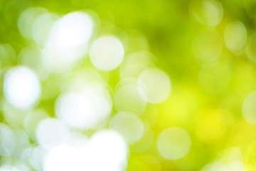 abstract green background with bokeh